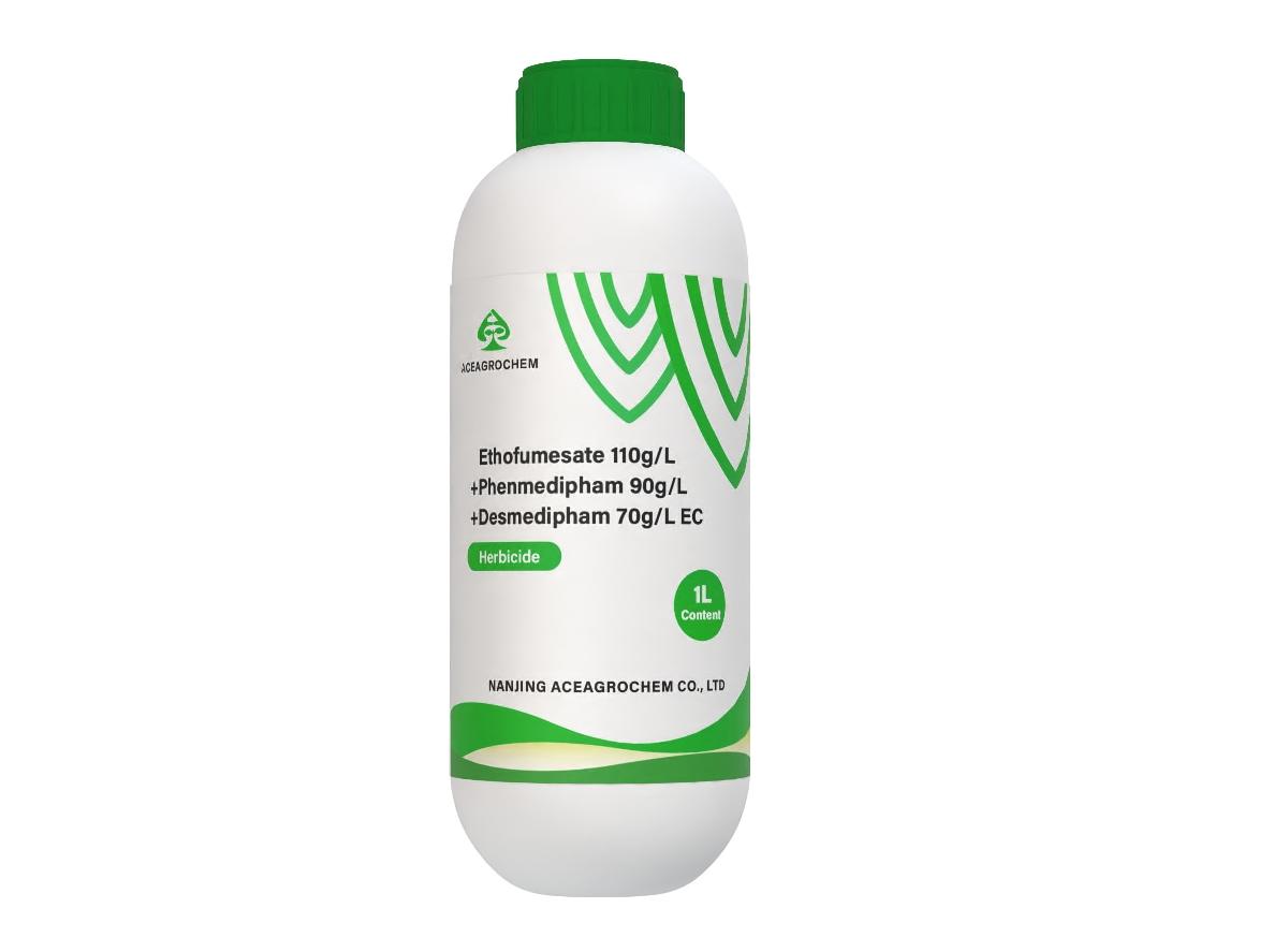 Ethofumesate 110g/L + Phenmedipham 90g/L + Desmedipham 70g/L EC